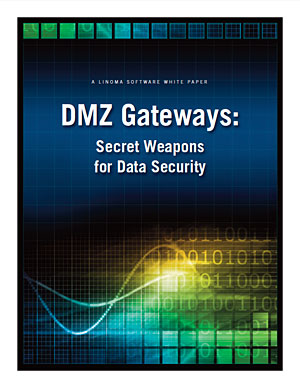 DMZ Gateways: Secret Weapons for Data Security
